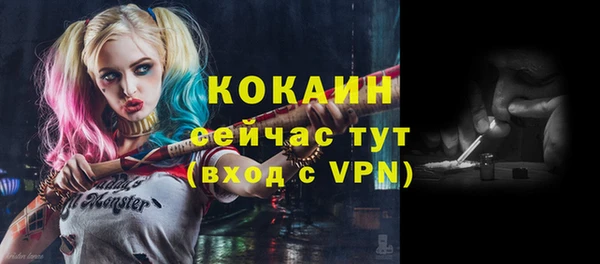 прущий лед Алзамай
