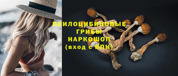 прущий лед Алзамай