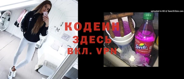 прущий лед Алзамай