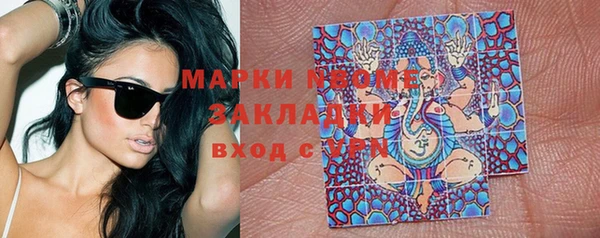 прущий лед Алзамай