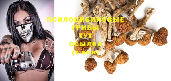 прущий лед Алзамай