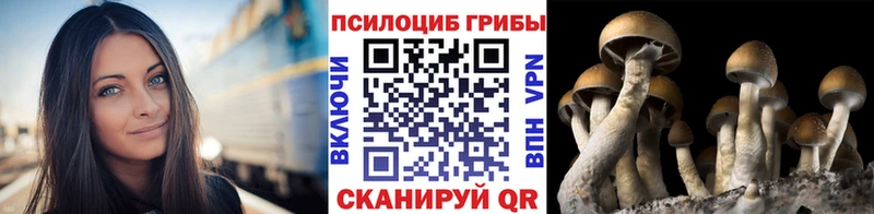 Галлюциногенные грибы Psilocybine cubensis Уссурийск