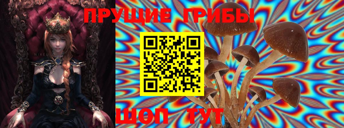 Галлюциногенные грибы мухоморы  Вход с VPN  Уссурийск 